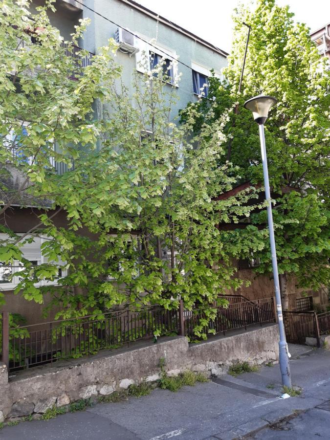 Victor Residence Belgrade Luaran gambar